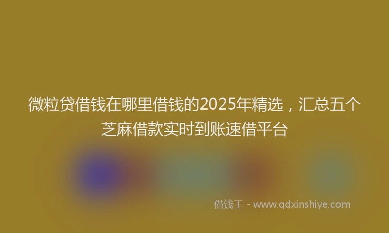 微粒贷借钱在哪里借钱的2025年精选，汇总五个芝麻借款实时到账速借平台
