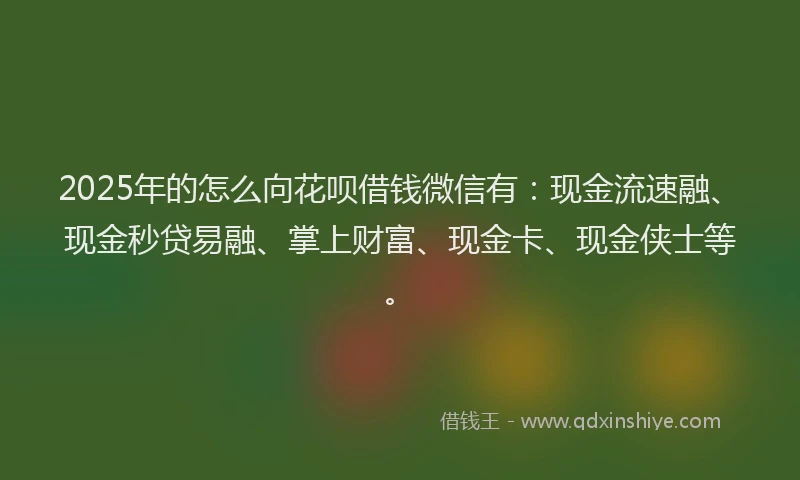 2025年的怎么向花呗借钱微信有：现金流速融、现金秒贷易融、掌上财富、现金卡、现金侠士等。