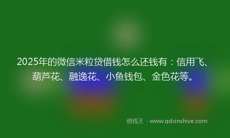 2025年的微信米粒贷借钱怎么还钱有：信用飞、葫芦花、融逸花、小鱼钱包、金色花等。