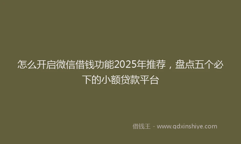 怎么开启微信借钱功能2025年推荐，盘点五个必下的小额贷款平台