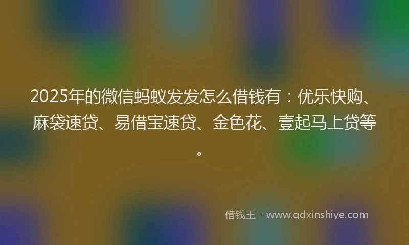 2025年的微信蚂蚁发发怎么借钱有：优乐快购、麻袋速贷、易借宝速贷、金色花、壹起马上贷等。