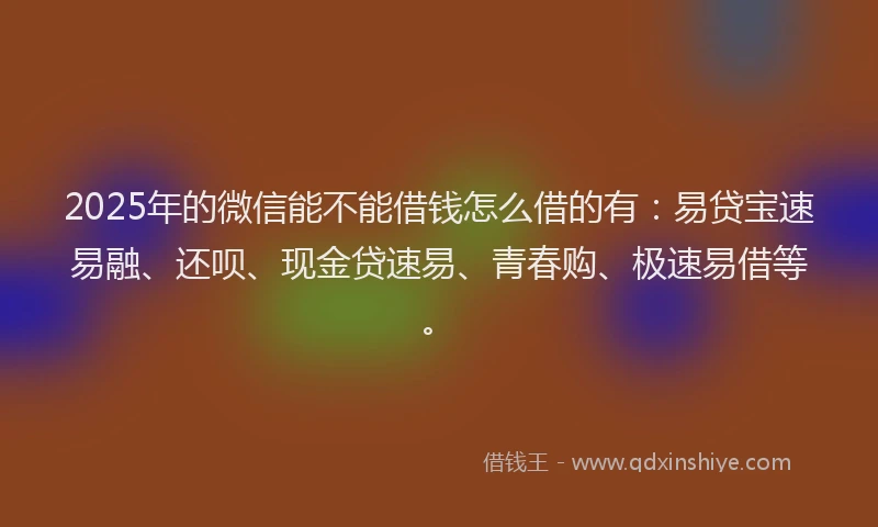 2025年的微信能不能借钱怎么借的有：易贷宝速易融、还呗、现金贷速易、青春购、极速易借等。