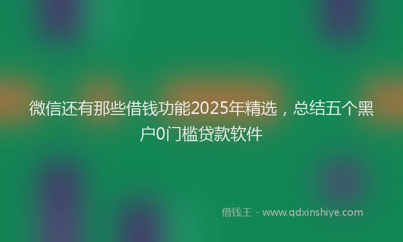 微信还有那些借钱功能2025年精选，总结五个黑户0门槛贷款软件