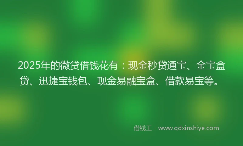 2025年的微贷借钱花有：现金秒贷通宝、金宝盒贷、迅捷宝钱包、现金易融宝盒、借款易宝等。