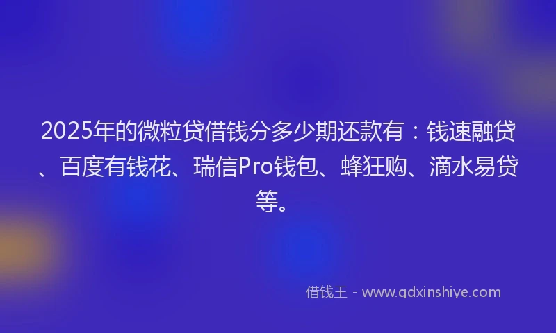 2025年的微粒贷借钱分多少期还款有：钱速融贷、百度有钱花、瑞信Pro钱包、蜂狂购、滴水易贷等。