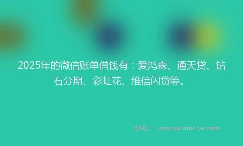 2025年的微信账单借钱有：爱鸿森、通天贷、钻石分期、彩虹花、维信闪贷等。