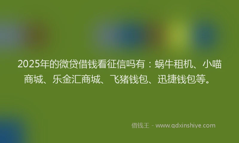 2025年的微贷借钱看征信吗有：蜗牛租机、小喵商城、乐金汇商城、飞猪钱包、迅捷钱包等。