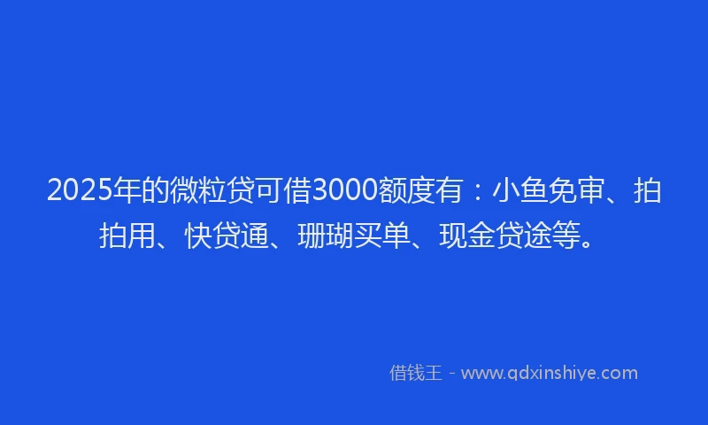 2025年的微粒贷可借3000额度有：小鱼免审、拍拍用、快贷通、珊瑚买单、现金贷途等。