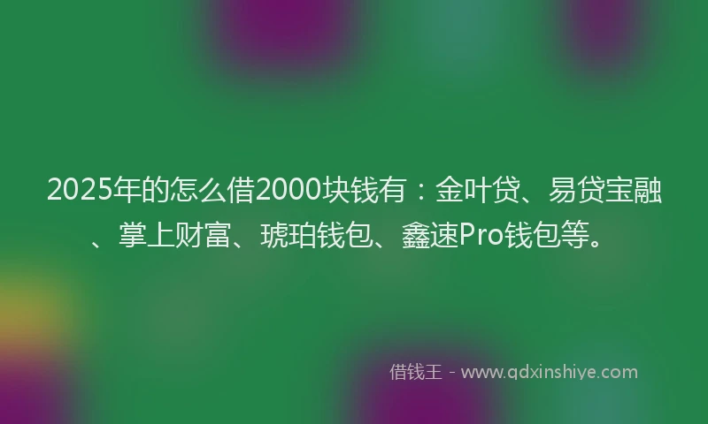 2025年的怎么借2000块钱有：金叶贷、易贷宝融、掌上财富、琥珀钱包、鑫速Pro钱包等。