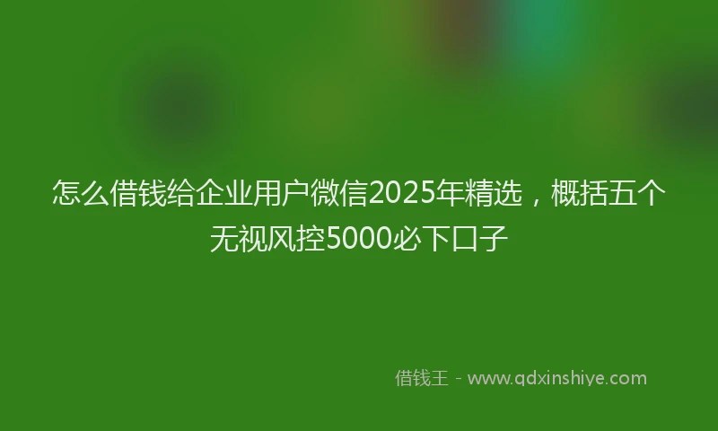 怎么借钱给企业用户微信2025年精选，概括五个无视风控5000必下口子