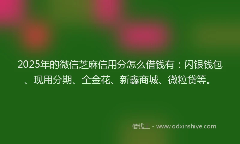 2025年的微信芝麻信用分怎么借钱有：闪银钱包、现用分期、全金花、新鑫商城、微粒贷等。