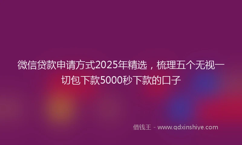 微信贷款申请方式2025年精选，梳理五个无视一切包下款5000秒下款的口子