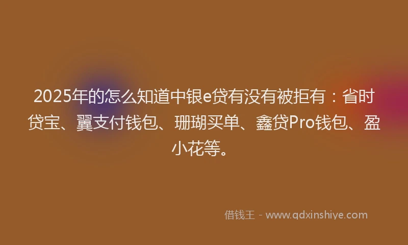 2025年的怎么知道中银e贷有没有被拒有：省时贷宝、翼支付钱包、珊瑚买单、鑫贷Pro钱包、盈小花等。