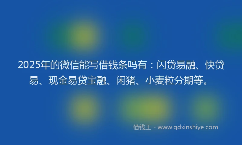 2025年的微信能写借钱条吗有：闪贷易融、快贷易、现金易贷宝融、闲猪、小麦粒分期等。