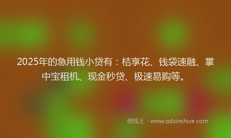 2025年的急用钱小贷有：桔享花、钱袋速融、掌中宝租机、现金秒贷、极速易购等。