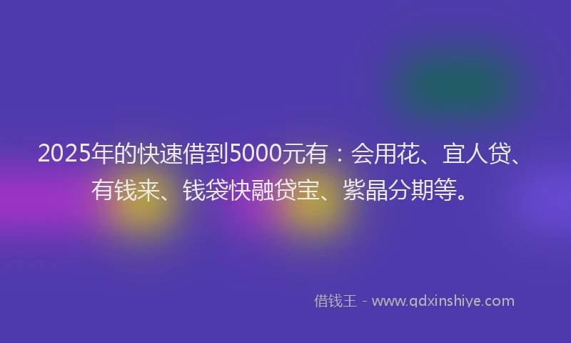 2025年的快速借到5000元有：会用花、宜人贷、有钱来、钱袋快融贷宝、紫晶分期等。