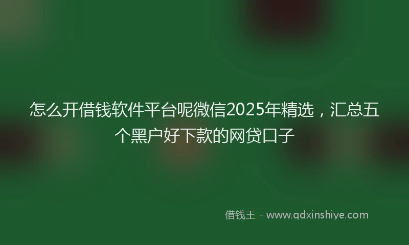 怎么开借钱软件平台呢微信2025年精选，汇总五个黑户好下款的网贷口子