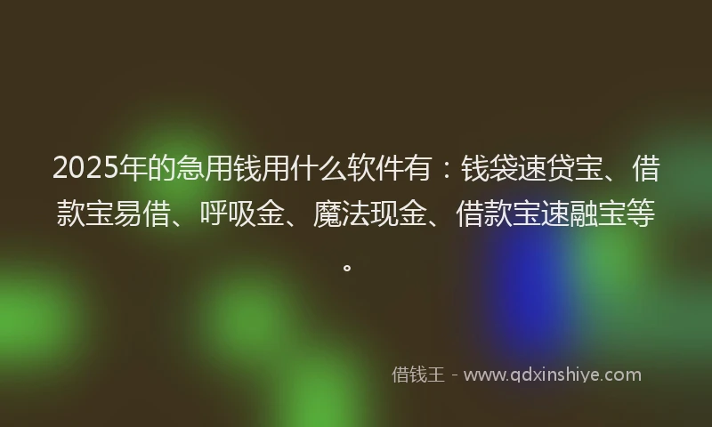 2025年的急用钱用什么软件有：钱袋速贷宝、借款宝易借、呼吸金、魔法现金、借款宝速融宝等。