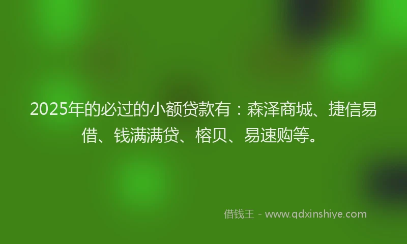 2025年的必过的小额贷款有：森泽商城、捷信易借、钱满满贷、榕贝、易速购等。