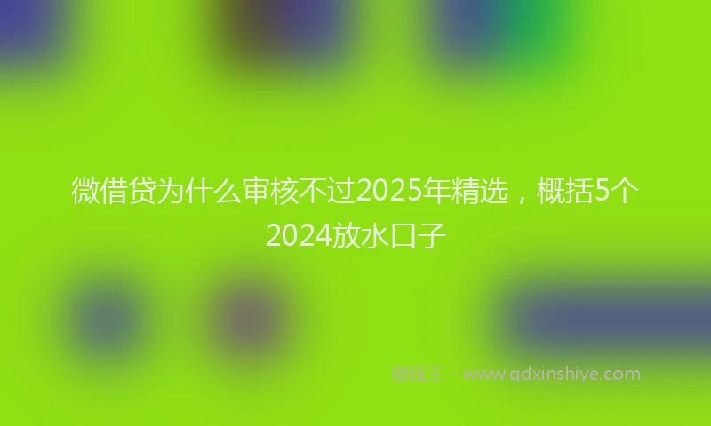 微借贷为什么审核不过2025年精选，概括5个2024放水口子