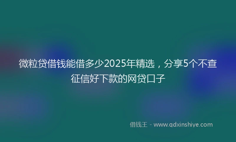 微粒贷借钱能借多少2025年精选，分享5个不查征信好下款的网贷口子