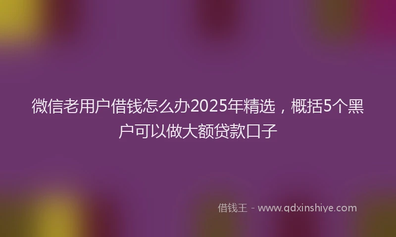 微信老用户借钱怎么办2025年精选，概括5个黑户可以做大额贷款口子