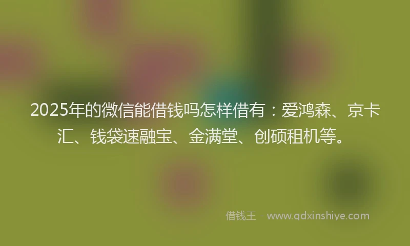 2025年的微信能借钱吗怎样借有：爱鸿森、京卡汇、钱袋速融宝、金满堂、创硕租机等。