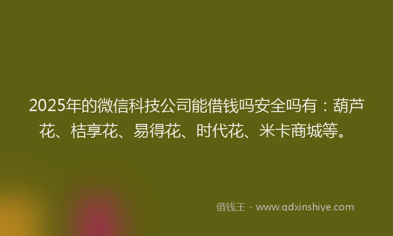 2025年的微信科技公司能借钱吗安全吗有：葫芦花、桔享花、易得花、时代花、米卡商城等。