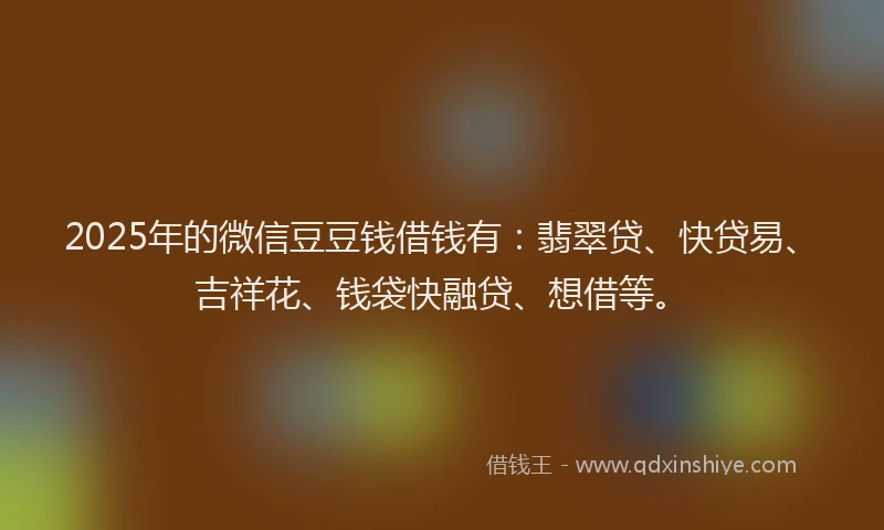 2025年的微信豆豆钱借钱有：翡翠贷、快贷易、吉祥花、钱袋快融贷、想借等。