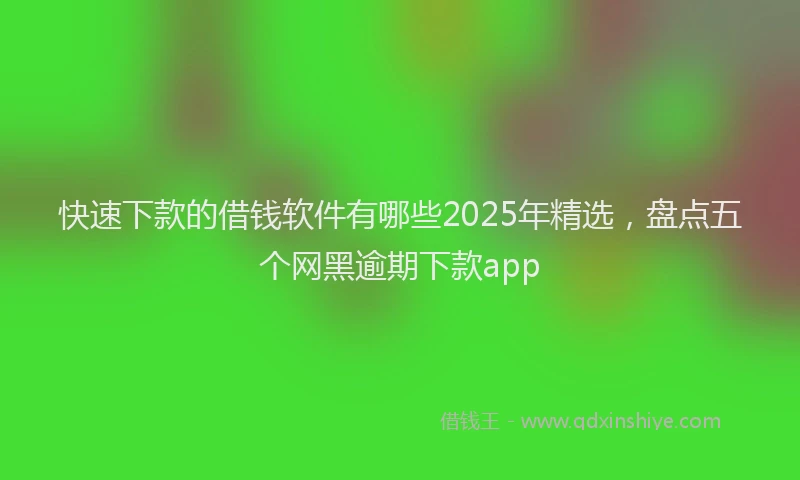 快速下款的借钱软件有哪些2025年精选，盘点五个网黑逾期下款app