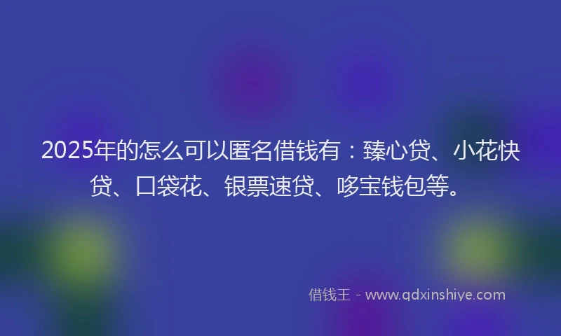 2025年的怎么可以匿名借钱有：臻心贷、小花快贷、口袋花、银票速贷、哆宝钱包等。