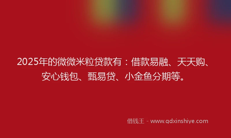2025年的微微米粒贷款有：借款易融、天天购、安心钱包、甄易贷、小金鱼分期等。