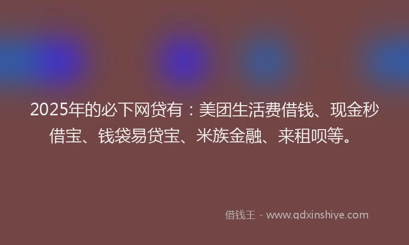 2025年的必下网贷有：美团生活费借钱、现金秒借宝、钱袋易贷宝、米族金融、来租呗等。