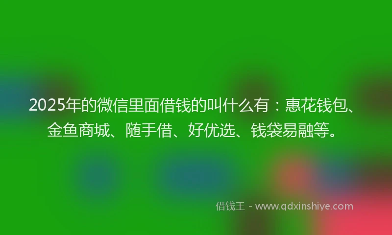 2025年的微信里面借钱的叫什么有：惠花钱包、金鱼商城、随手借、好优选、钱袋易融等。