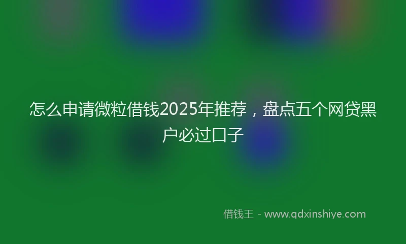 怎么申请微粒借钱2025年推荐，盘点五个网贷黑户必过口子