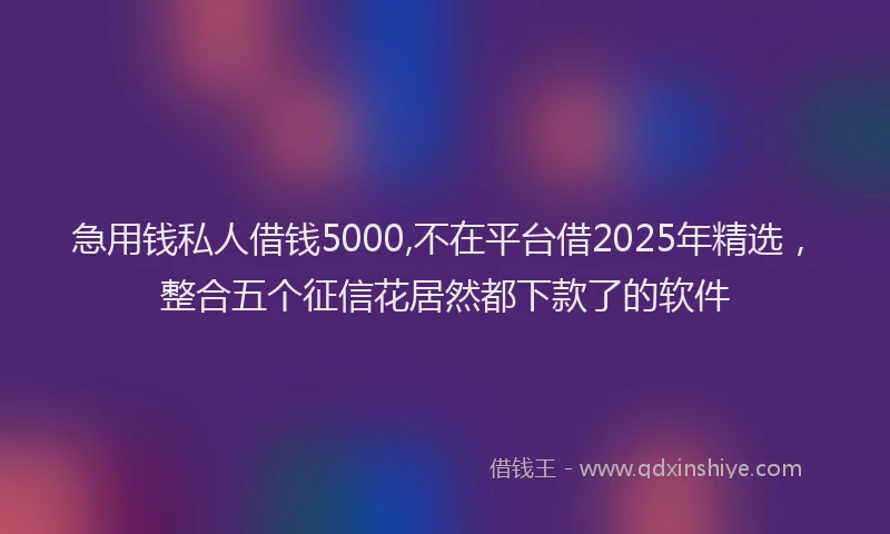 急用钱私人借钱5000,不在平台借2025年精选，整合五个征信花居然都下款了的软件