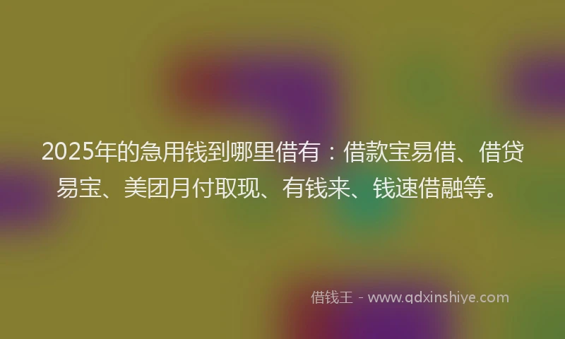 2025年的急用钱到哪里借有：借款宝易借、借贷易宝、美团月付取现、有钱来、钱速借融等。