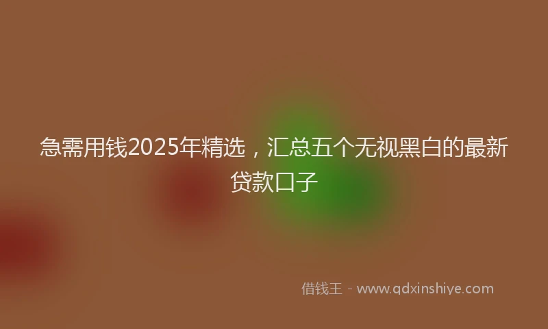 急需用钱2025年精选，汇总五个无视黑白的最新贷款口子