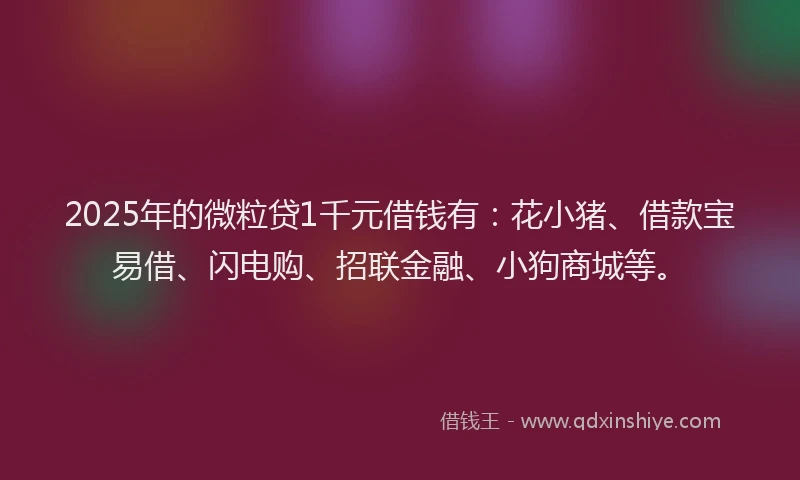 2025年的微粒贷1千元借钱有：花小猪、借款宝易借、闪电购、招联金融、小狗商城等。