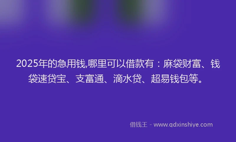 2025年的急用钱,哪里可以借款有：麻袋财富、钱袋速贷宝、支富通、滴水贷、超易钱包等。
