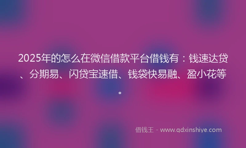 2025年的怎么在微信借款平台借钱有：钱速达贷、分期易、闪贷宝速借、钱袋快易融、盈小花等。