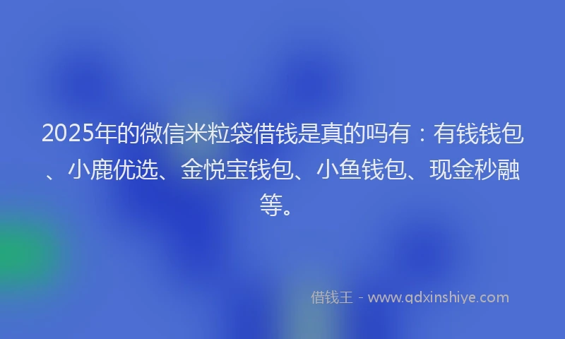 2025年的微信米粒袋借钱是真的吗有：有钱钱包、小鹿优选、金悦宝钱包、小鱼钱包、现金秒融等。