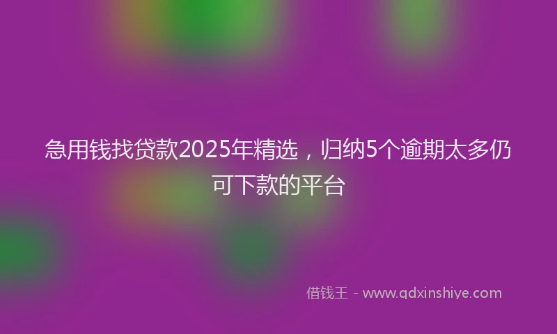 急用钱找贷款2025年精选，归纳5个逾期太多仍可下款的平台