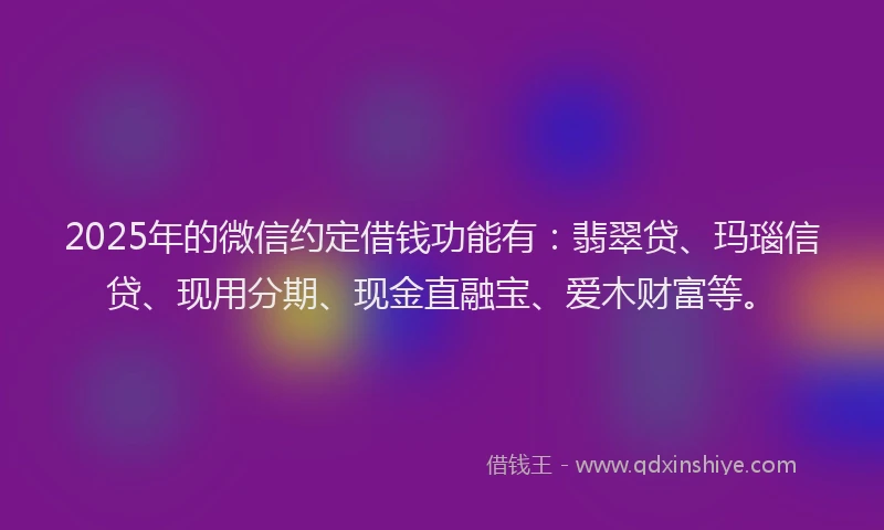 2025年的微信约定借钱功能有：翡翠贷、玛瑙信贷、现用分期、现金直融宝、爱木财富等。