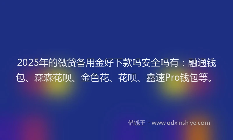 2025年的微贷备用金好下款吗安全吗有：融通钱包、森森花呗、金色花、花呗、鑫速Pro钱包等。