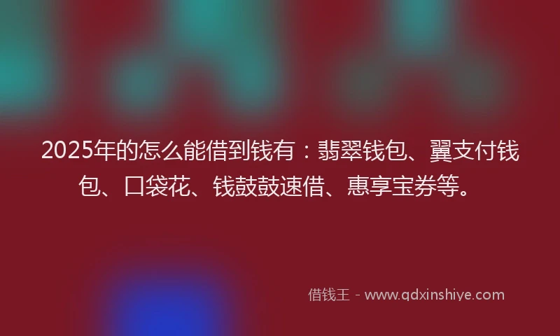 2025年的怎么能借到钱有：翡翠钱包、翼支付钱包、口袋花、钱鼓鼓速借、惠享宝券等。
