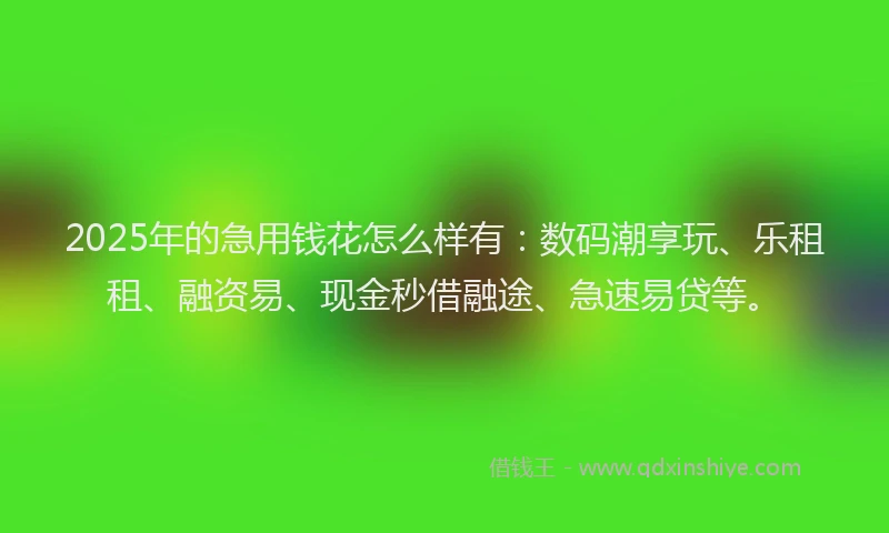 2025年的急用钱花怎么样有：数码潮享玩、乐租租、融资易、现金秒借融途、急速易贷等。