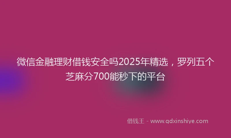 微信金融理财借钱安全吗2025年精选，罗列五个芝麻分700能秒下的平台