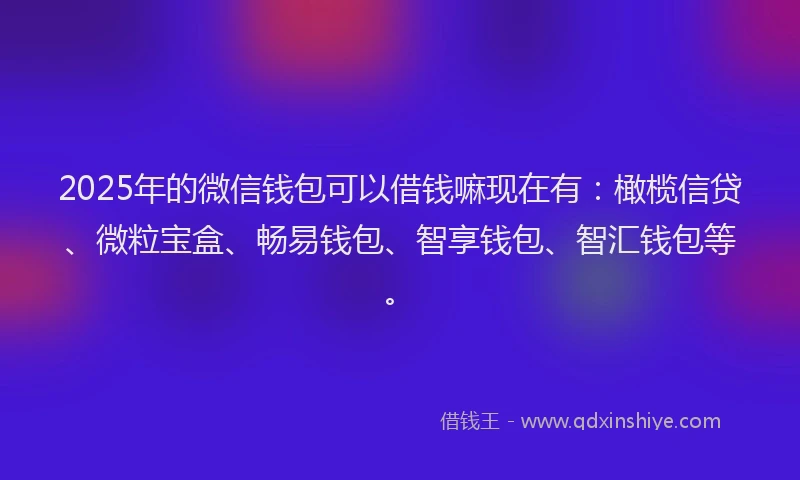 2025年的微信钱包可以借钱嘛现在有：橄榄信贷、微粒宝盒、畅易钱包、智享钱包、智汇钱包等。