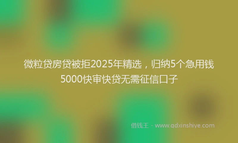 微粒贷房贷被拒2025年精选，归纳5个急用钱5000快审快贷无需征信口子